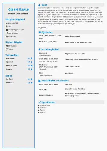 Müzik Öğretmeni Cv Örnekleri cv indir